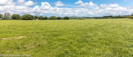 Looking across a field of lush grass in Pembrokeshire, Wales, towards the Preseli Hills in the distance